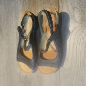 COPY - El Naturalista new